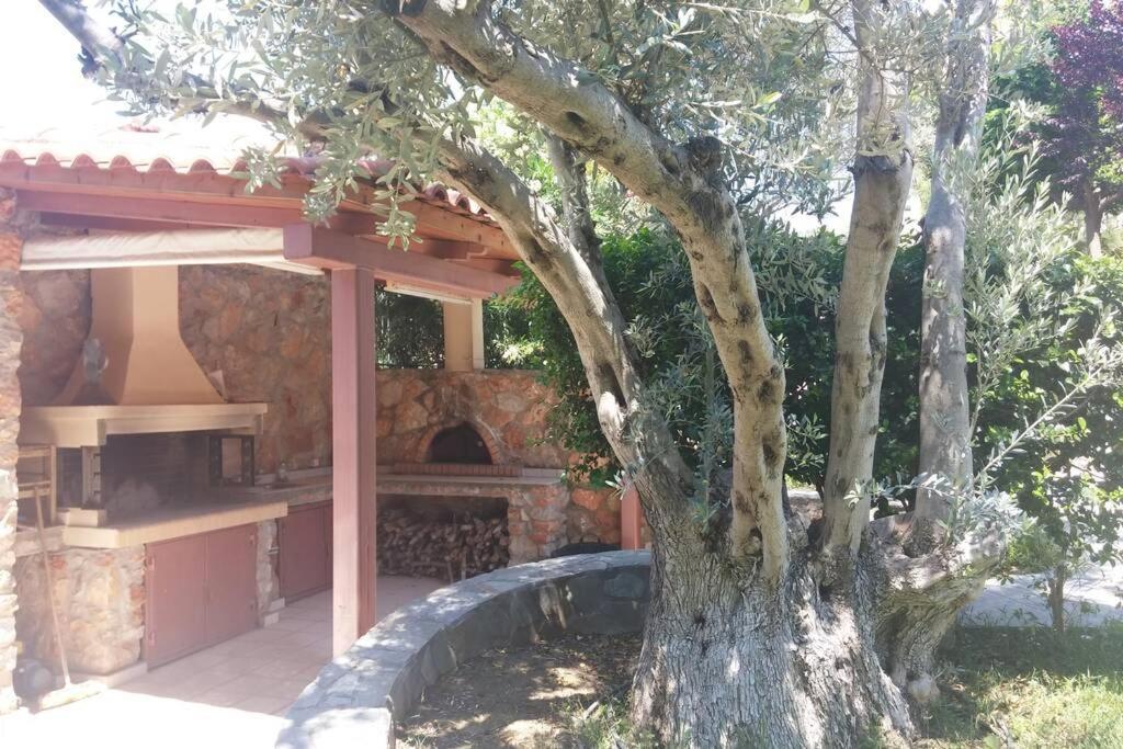 Seaside Villa Andronikos Amarynthos Luaran gambar