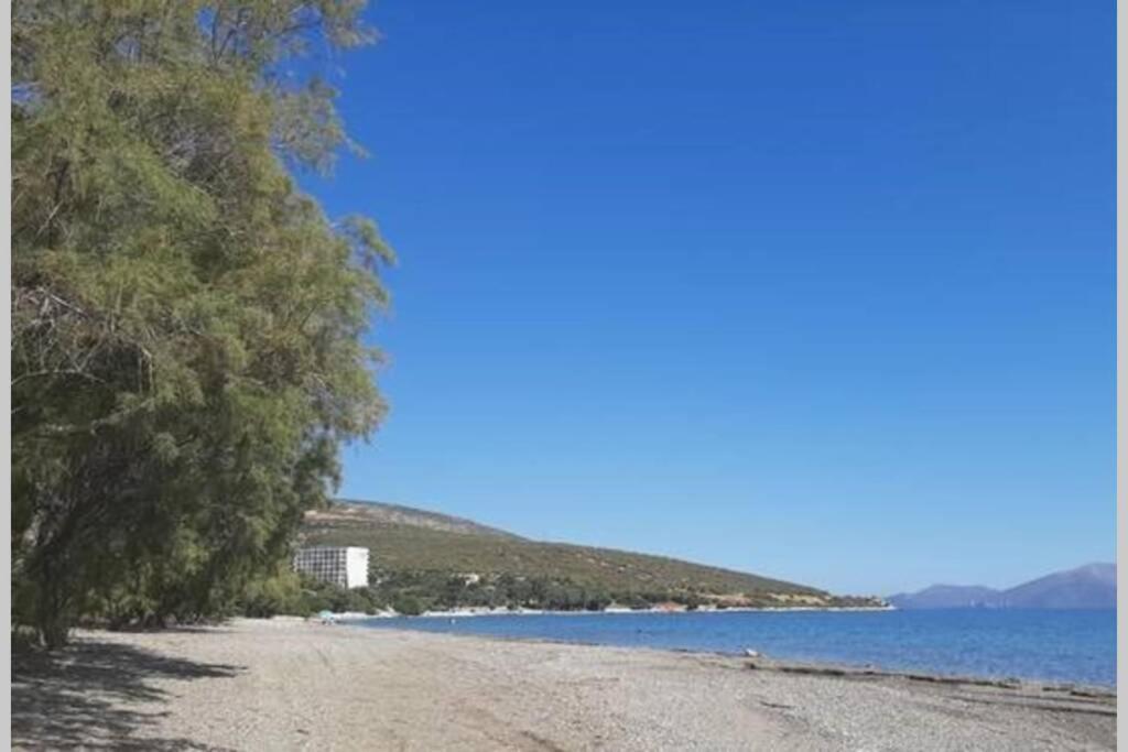 Seaside Villa Andronikos Amarynthos Luaran gambar