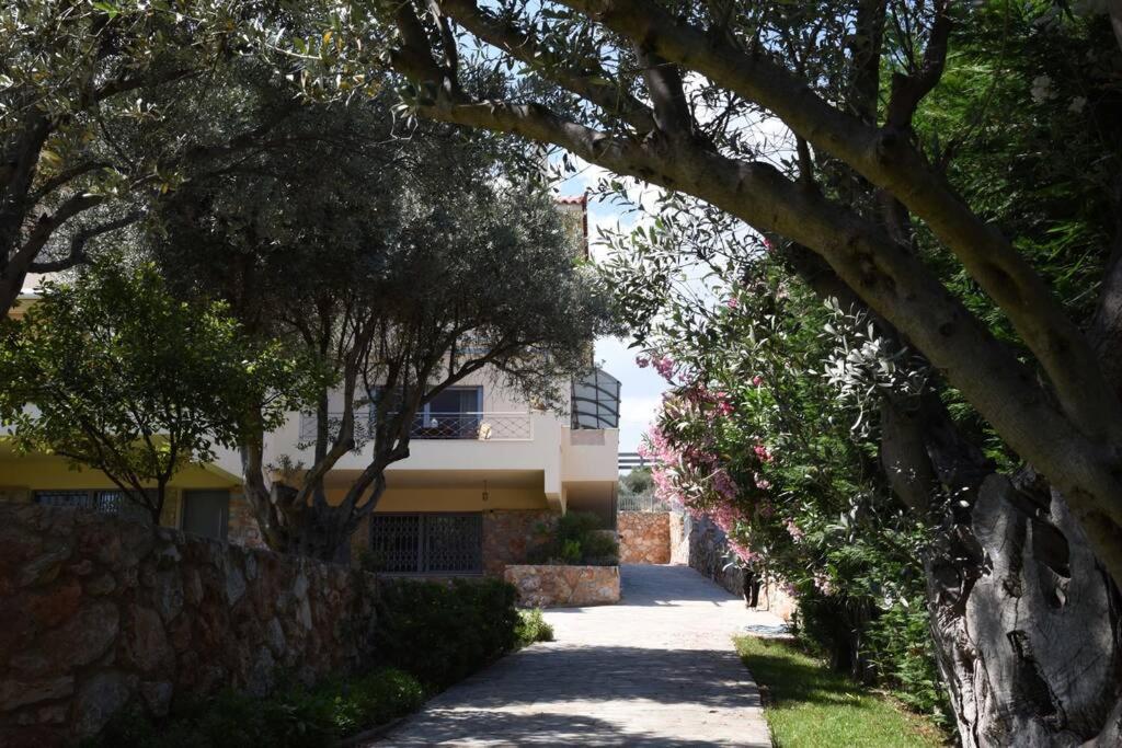 Seaside Villa Andronikos Amarynthos Luaran gambar