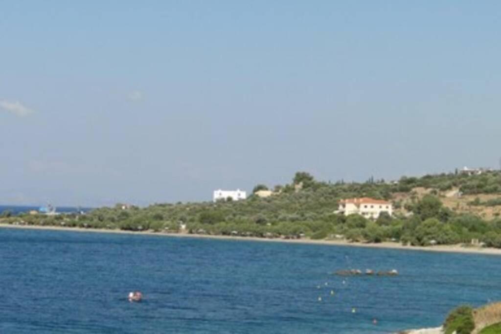 Seaside Villa Andronikos Amarynthos Luaran gambar