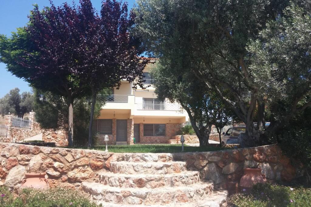 Seaside Villa Andronikos Amarynthos Luaran gambar