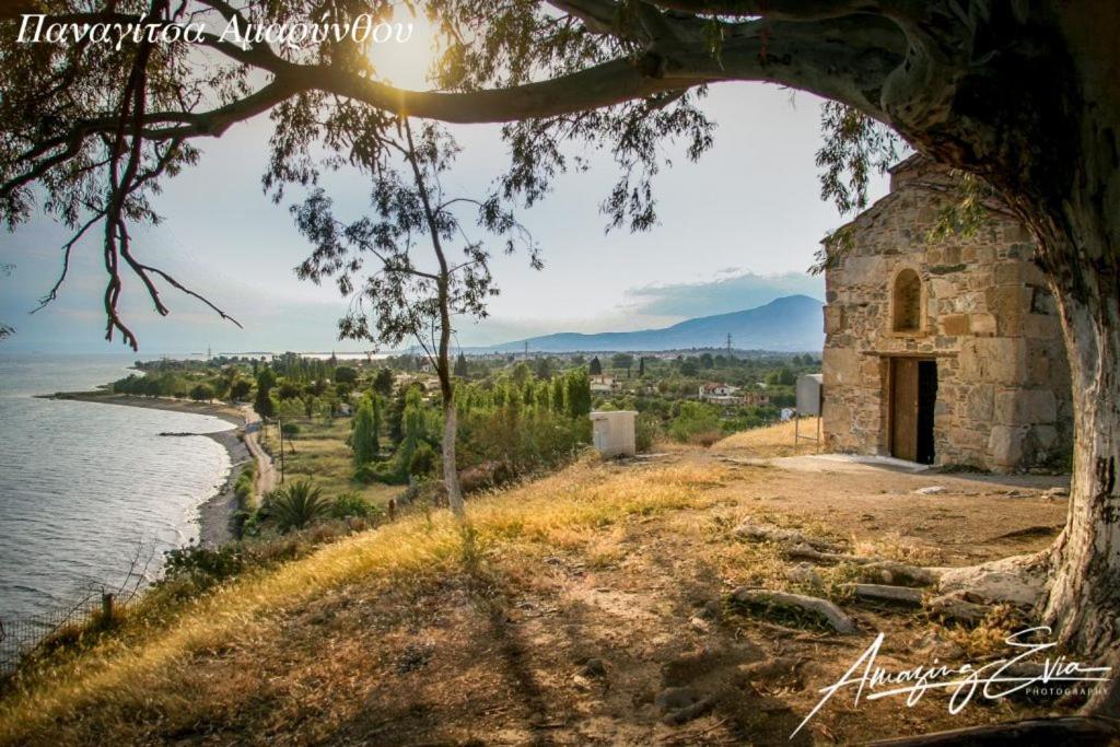 Seaside Villa Andronikos Amarynthos Luaran gambar